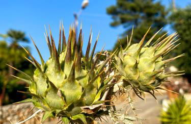 Arte Povera Landhaus in idyllischem Naturreservat - Photo 18