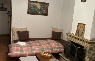 Οξυγόνο Πέτρινο εξοχικό στη Βυζίτσα Πηλίου - Foto 6