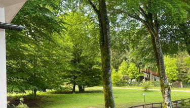 La Pilli a Monte Livata - Foto 5, Garden