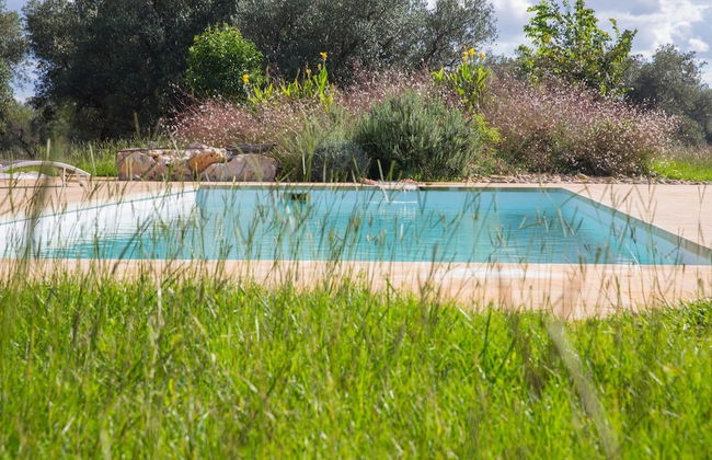 Azienda Agricola Spirdo - Foto 21