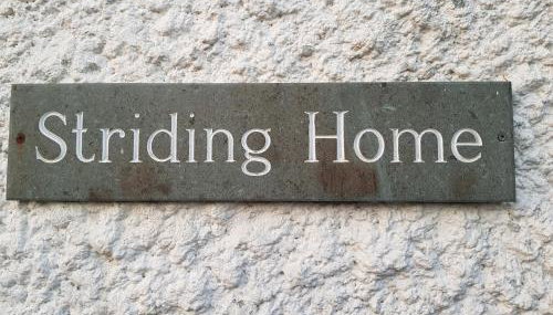 Striding Home - Foto 3