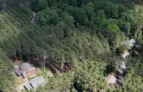 New! Crystal Pines - Lovely Crystal Mountain Cabin - Foto 12