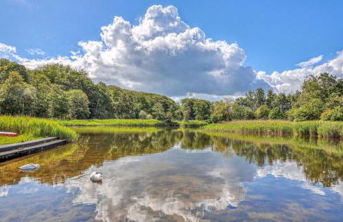 Elfenwiese - Foto 32