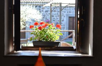 Bosco Ciancio - Foto 91