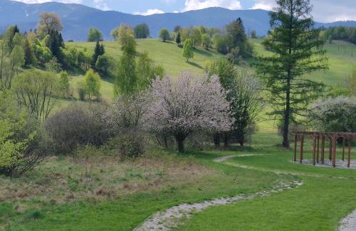 Dzika Dziura z jacuzzi - Foto 63