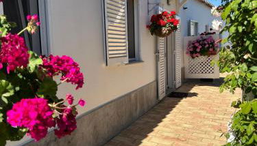 Casa do Meio- Farm house- Tavira - Foto 4