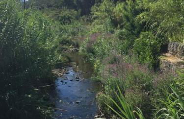 Domu Asquer 9 - Foto 13