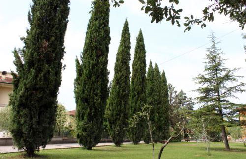 Toskana Relax - Foto 3