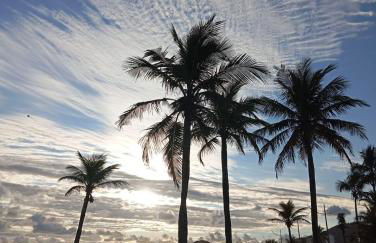 Apto Praia da Enseada 4 pessoas - Foto 18