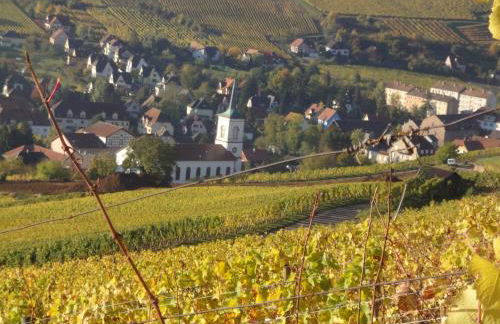 Le Bacchus - Photo 19