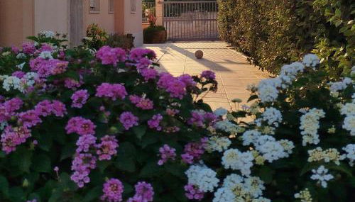 Profumo di Mare 2 - Foto 4