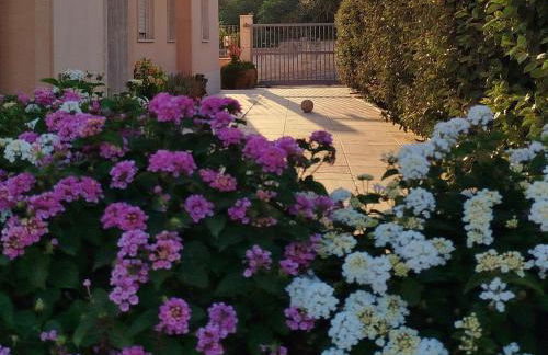 Profumo di Mare 2 - Foto 4