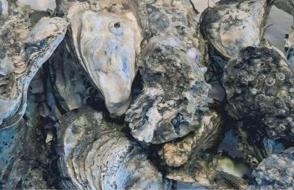 Lazy Osyter Sylt - Foto 30