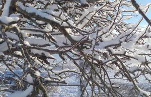 The Haybarn - Foto 49