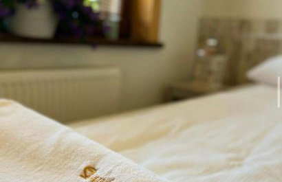 Dwór Sulejów - Photo 28