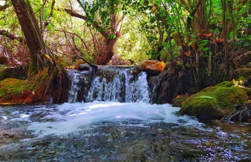 LA CRUZ DE LA ATALAYA - Foto 29