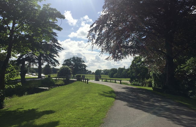 Castlemartyr Mews - Photo 37