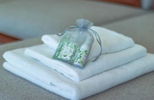 Apartment Lana, Gera Lario - Foto 20