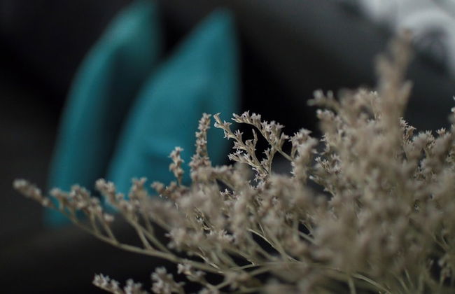 Harmonia Palace - Luxury Apartments - Foto 16