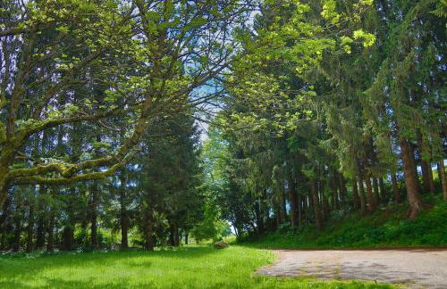 Schwarzwald Escape - Foto 17