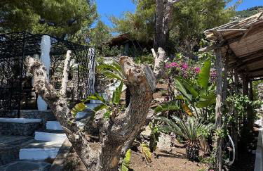 Villa La Birbirella - Foto 32