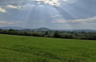 Characterful 2 bed cottage, quiet village setting - Photo 23