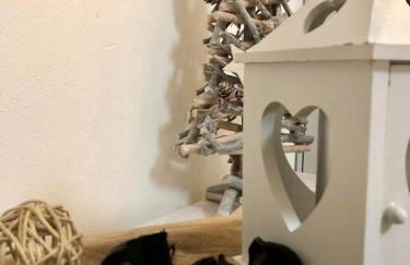 La casa di Anna - Foto 15