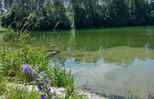 Wigierska Chatka - Foto 74