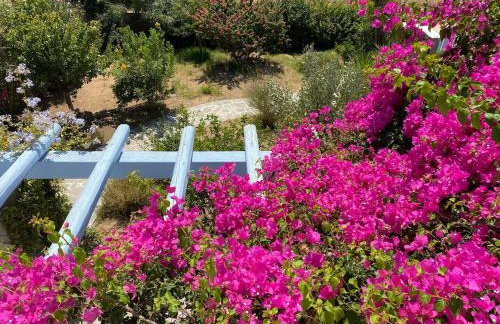 Sunny House - Foto 45