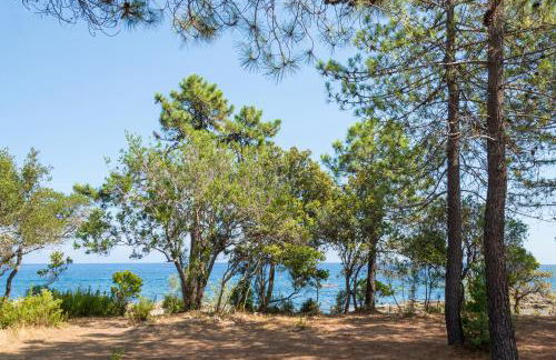 Domaine de Pianiccia - Foto 14