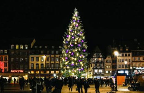 Appartement T2 calme à Illkirch avec parking privé - Foto 22