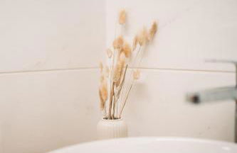 Quinta da Quintã AL - Foto 13