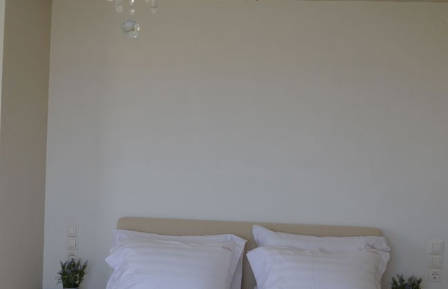 Villa Elena - Photo 5