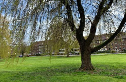 FeWo an der Weser - Photo 22