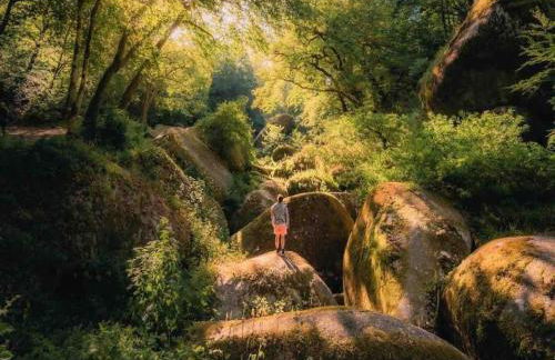 Stone House in Huelgoat, Brittany - Foto 27