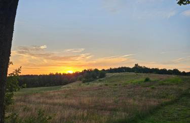 Dzika Warmia- Retreat in the Wild - Foto 34