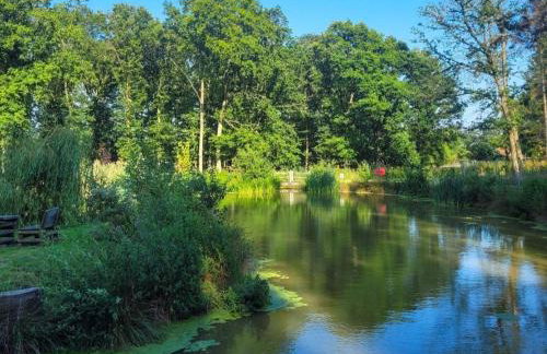 3 Bed in Kings Lynn oc-93413 - Foto 31