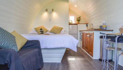 Privet Pod - Uk41394 - Foto 4