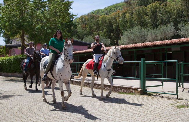 Agriturismo Al Poggetto - Photo 35