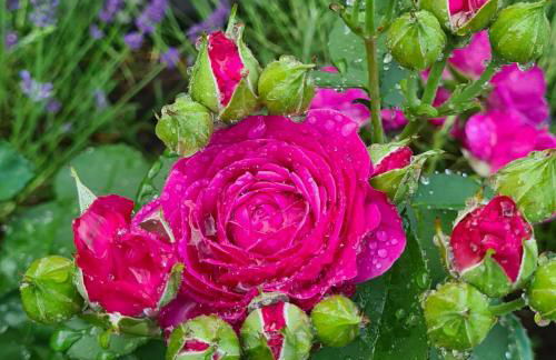 Die Ferienwohnung "Am Kietz" - Photo 30