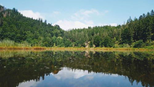 Ferienwohnung Hirschkopf - Foto 2