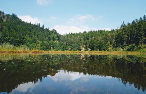 Ferienwohnung Hirschkopf - Foto 2