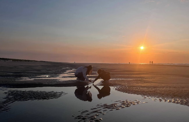Northseachalets Ameland - Photo 16