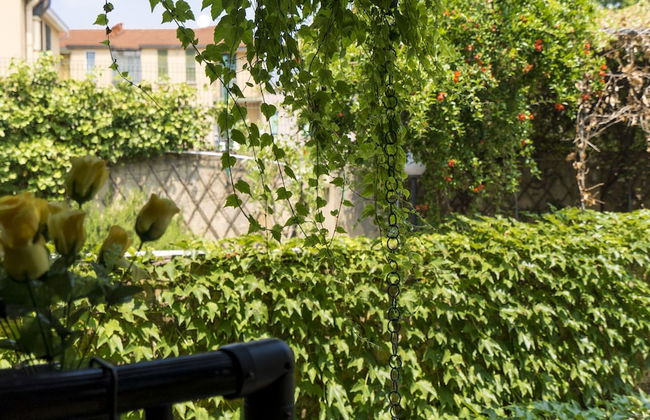 Italianway - Argelati - Foto 24