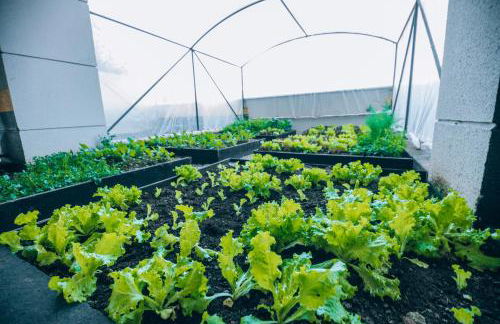 Superitá Campos do Jordão - Apto de alto padrão com estrutura de resort perto do Capivari e Morro do Elefante - Foto 44