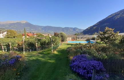 Fröhlichhof Wohnung Panorama - Foto 25