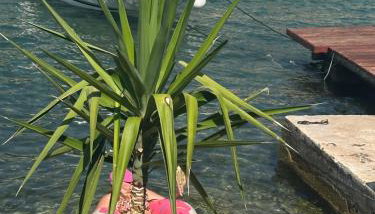 Apartment Panda Sea Touch - Foto 5