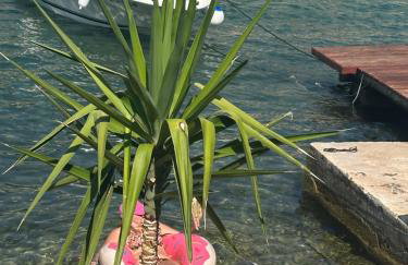 Apartment Panda Sea Touch - Foto 5