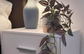 Free Parking Spacious Home - Photo 48