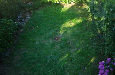 Villa Thérèse - Foto 10